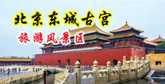小穴污视频在线观看中国北京-东城古宫旅游风景区